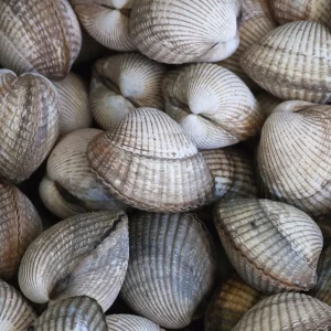 02_marisco_berberecho